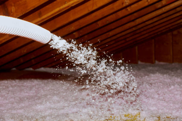 Best Specialized Insulation Services in Miles City, MT