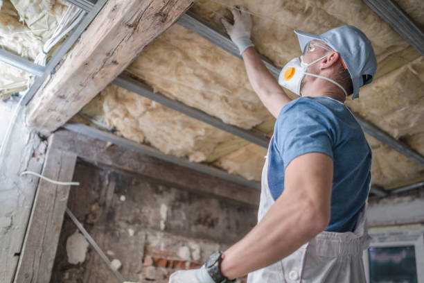Best Geographic-Specific Insulation Services in Miles City, MT