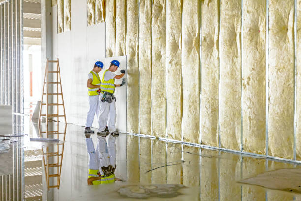 Best Eco-Friendly Insulation in Miles City, MT